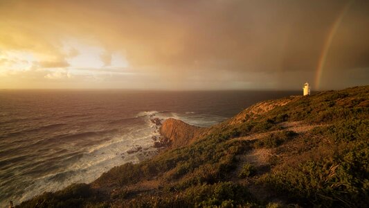 Backlight beach coast