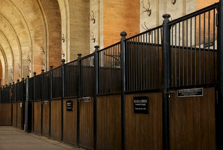 Stables horse structure