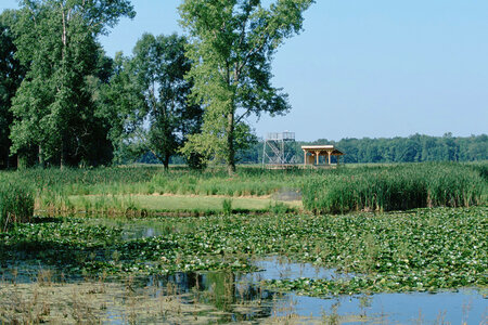 Observation tower at Montezuma National Wildlife Refuge