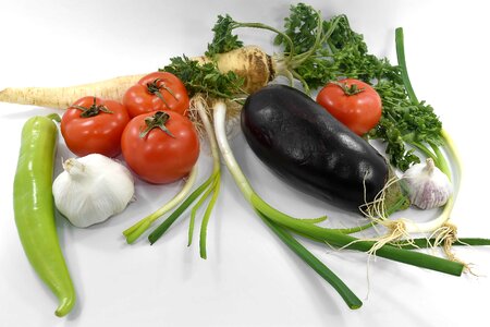 Eggplant garlic ingredients photo
