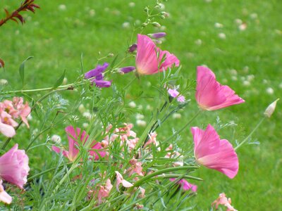 Summer botanical natural