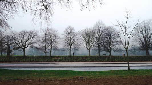 Foggy London Park photo