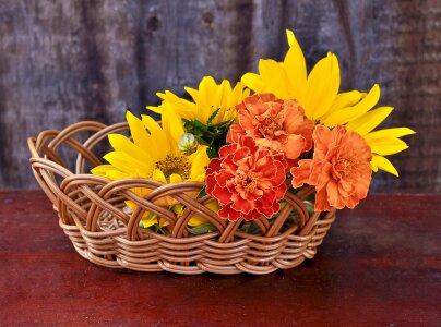 Yellow floral natural