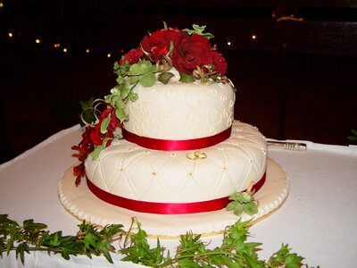 Beautiful Photo cake cakes photo
