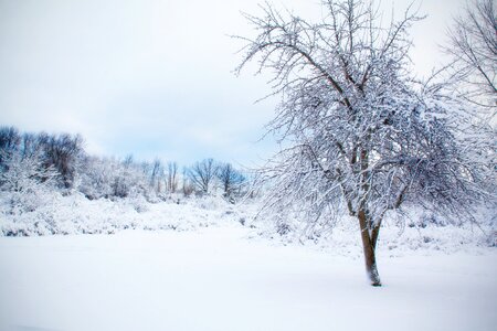 Landscape outdoor white