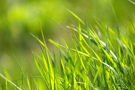 Agriculture beautiful photo ecology