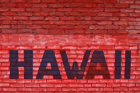 Bricks hawaii red