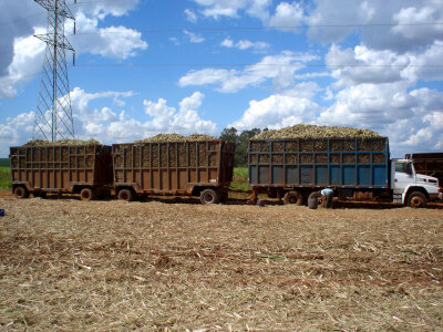 Typical sugarcane harvest transport near Ribeirão Preto, Brazil photo