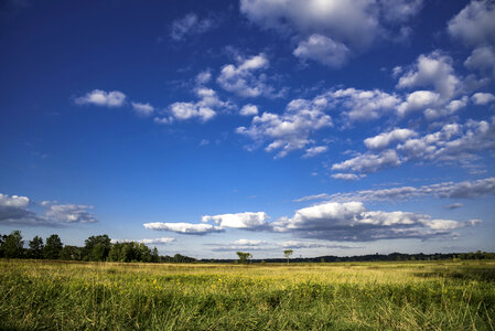 Blue Skies over the Marsh Landscape