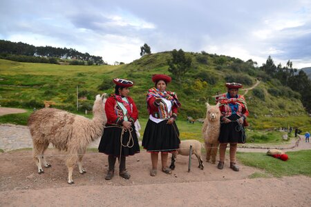 Native Peruvian group with their Llama in Sacred Valley, Cusco photo