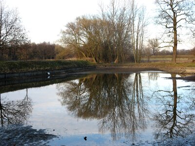 Mirror pond 