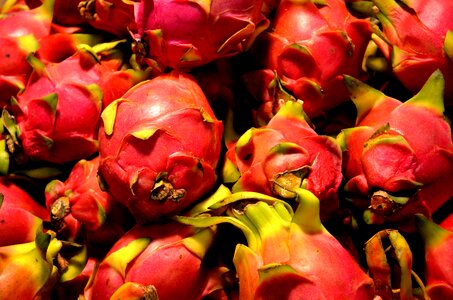 Pitaya pitahaya tropical