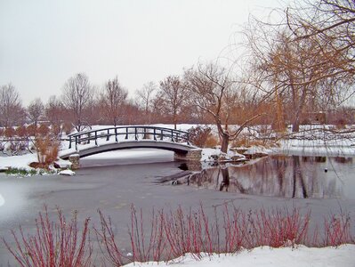 Lake winter frozen photo