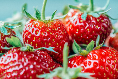 Strawberries Berry Close up photo