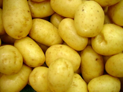 Greenery potatoes yellow