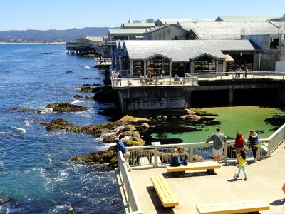 Monterey Bay Aquarium, Monterey California photo