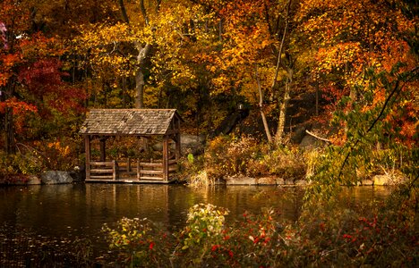 Hut shelter calm photo