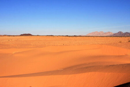 Sand Dunes on the Cabeza Prieta National Wildlife Refuge photo