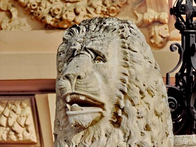 Carving head lion photo