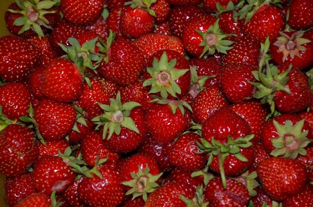 Red food bright