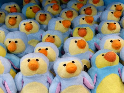 Stuffed animals toys children toys photo