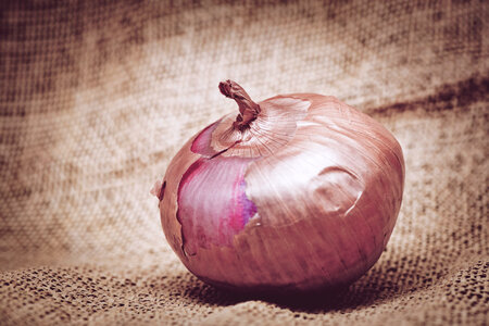 Onion on burlap background photo