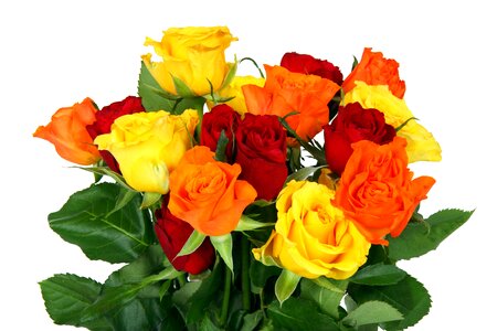 Bouquet color colorful