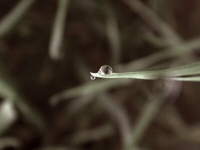 Raindrop liquid bubble