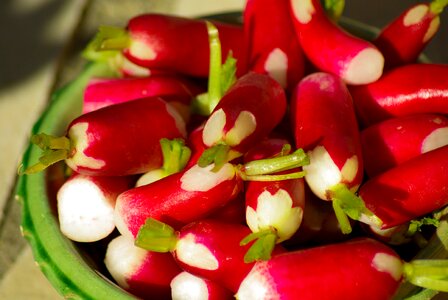 Vegetable garden vegetables red