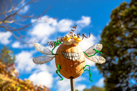 Smiling Pumpkin Creature with Wings photo