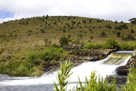 Landscape nature flowing