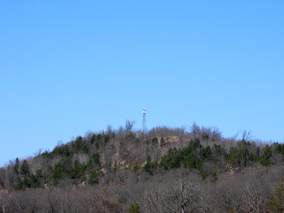 Hill with tower at Quincy Bluff Natural Area photo