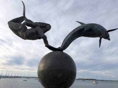Art bronze dolphin photo