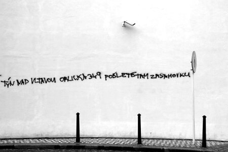 Text on Wall