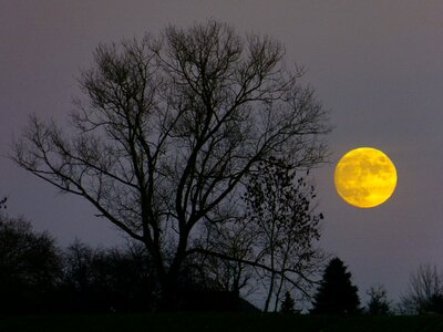 Evening twilight moonlight photo