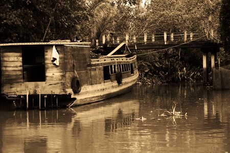 Jungle travel river photo