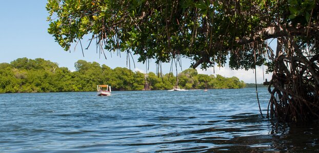 Laguna de la Restinga national park on the Isla Margarita