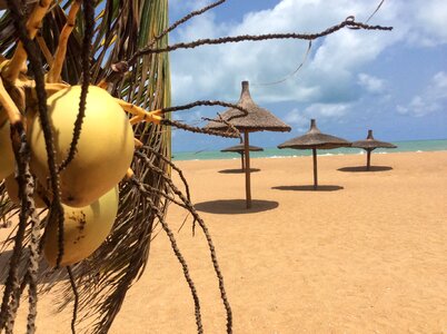 Landscape Coconut Beach