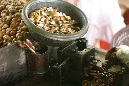 Peeled nutshell machine
