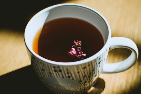 Cup Herbal Tea Drink photo