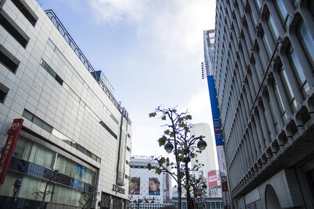 14 Shibuya photo