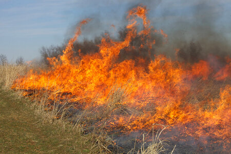 Burning field-2
