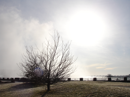 Landscape autumn cold