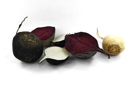 Agriculture antioxidant beetroot photo