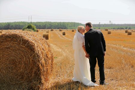 Wheatfield hay field barley photo