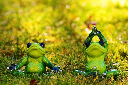 Figure animal green