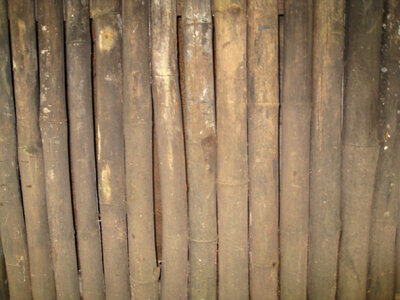 Bamboo Wall Texture photo