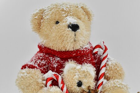 Teddy Bear Toy bear gift photo