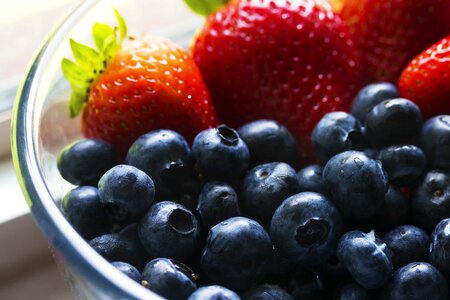 Beautiful Photo blueberry bowl