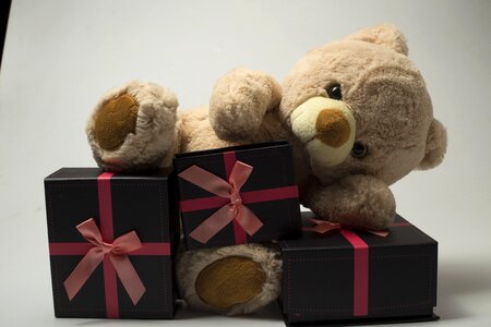 Teddy bear plush gifts